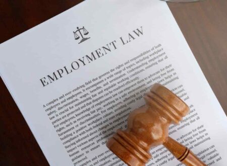 Employment Law consultation with a lawyer reviewing workplace contracts and employee rights documents in a professional office.