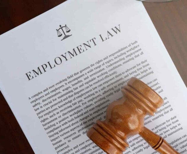 Employment Law consultation with a lawyer reviewing workplace contracts and employee rights documents in a professional office.