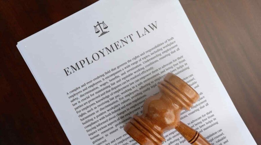 Employment Law consultation with a lawyer reviewing workplace contracts and employee rights documents in a professional office.