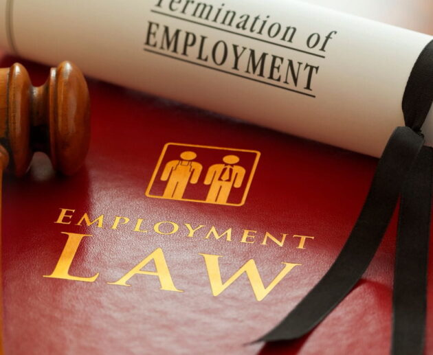 Employment Lawsuit involving an employee and employer reviewing legal documents during a workplace dispute over wrongful termination and workplace rights.