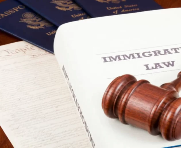 US immigration policy update 2026 showing immigration court and visa documents