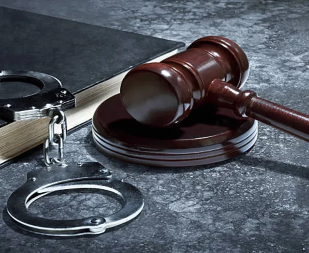 Illustration explaining aggravated murder, manslaughter, robbery, and burglary under US criminal law