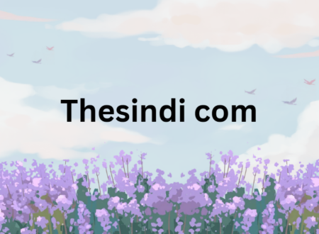 Thesindi com