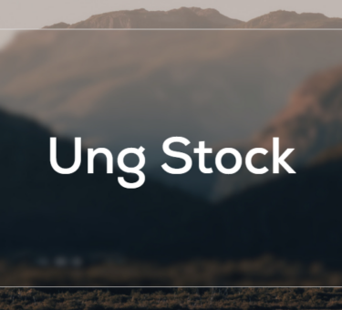 Ung Stock