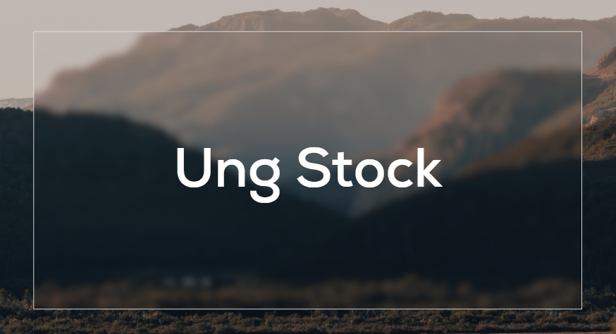 Ung Stock